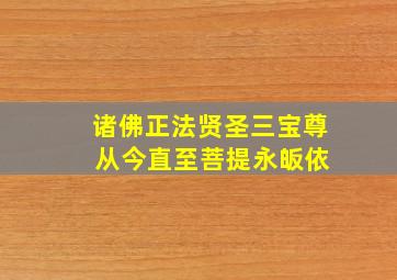 诸佛正法贤圣三宝尊 从今直至菩提永皈依